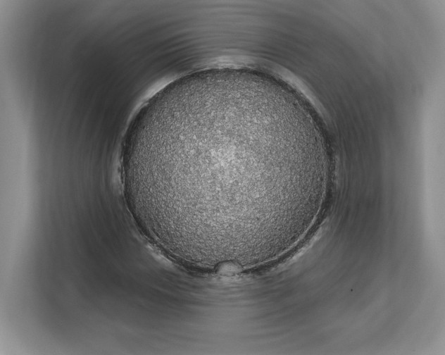 X0000111581018200907301400