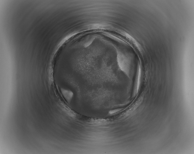 X0000111581019200907301400