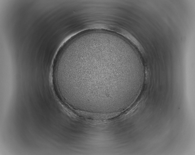 X0000111581020200907301400