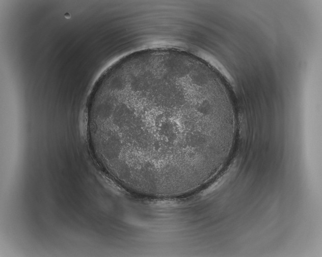 X0000111581021200907301400