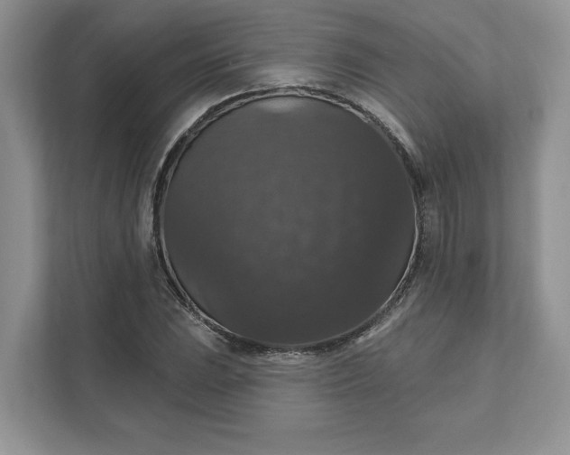 X0000111581023200907301400