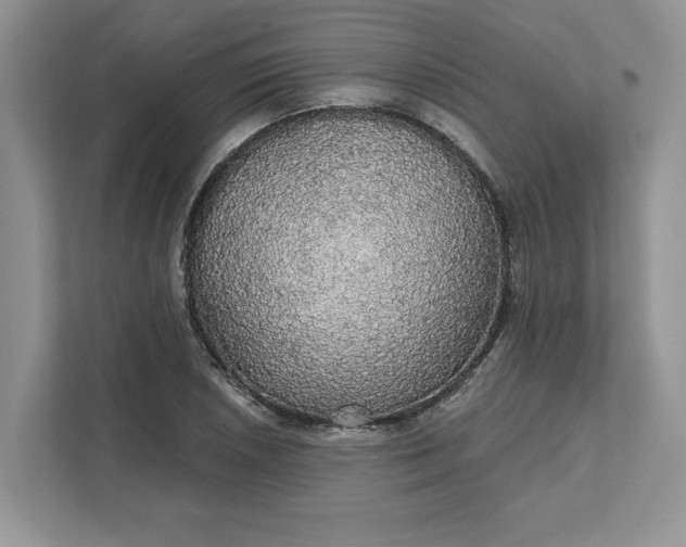 X0000111581026200907301400