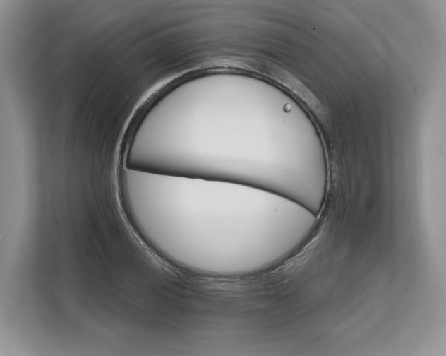 X0000111581028200907301400