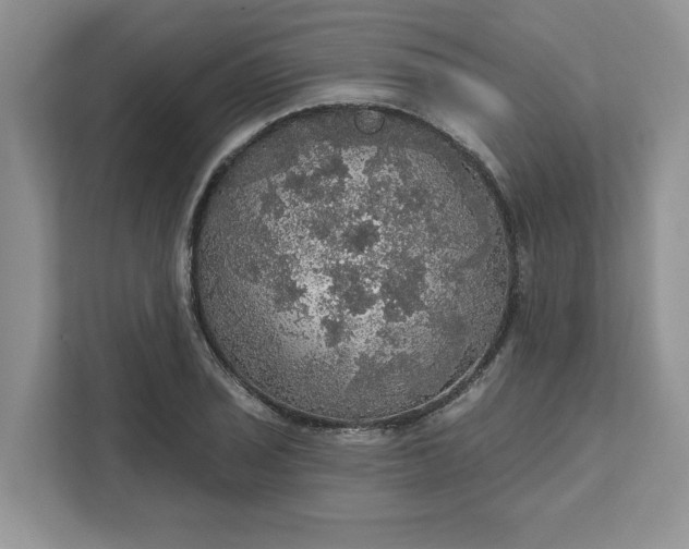 X0000111581029200907301400