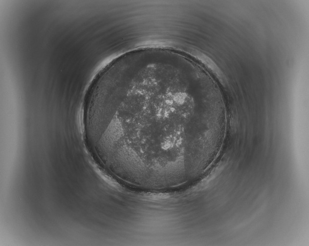 X0000111581030200907301400