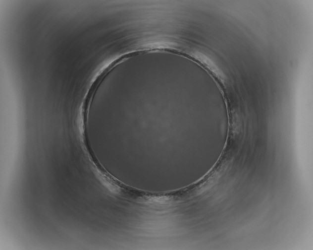 X0000111581031200907301400