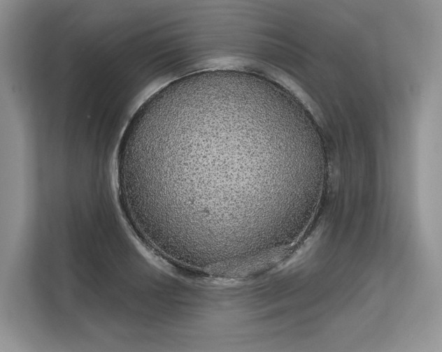 X0000111581034200907301400