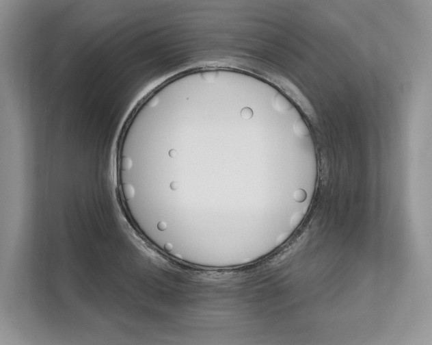 X0000111581036200907301400