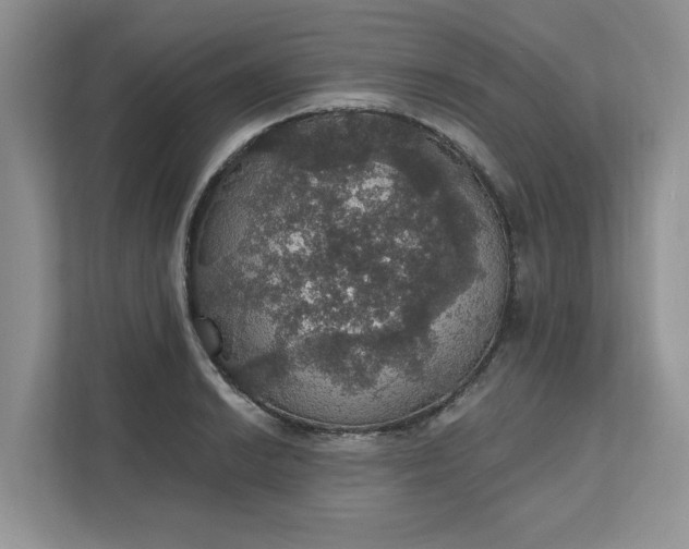 X0000111581038200907301400