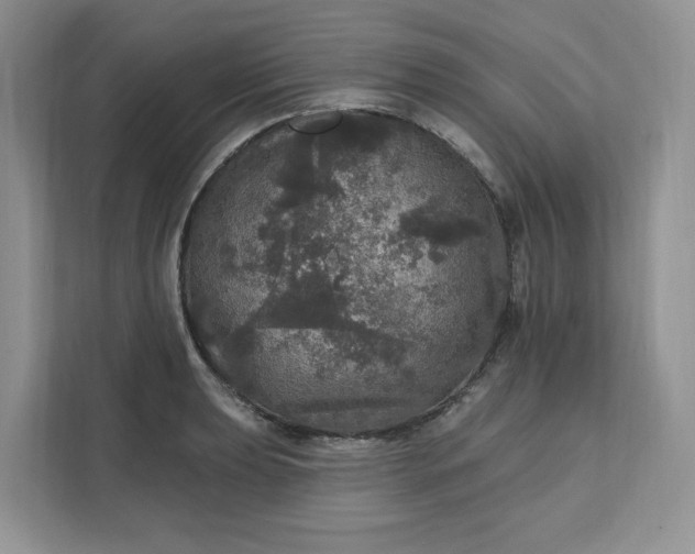 X0000111581039200907301400