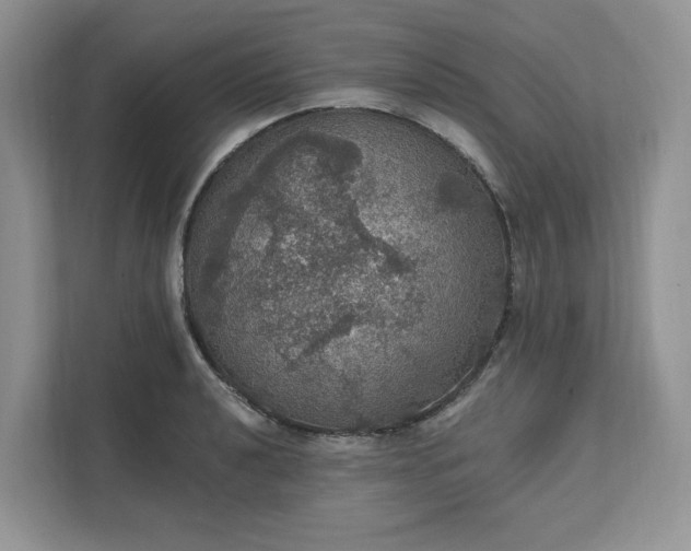 X0000111581040200907301400