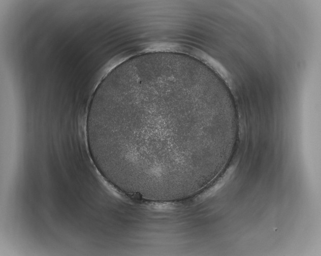 X0000111581041200907301400