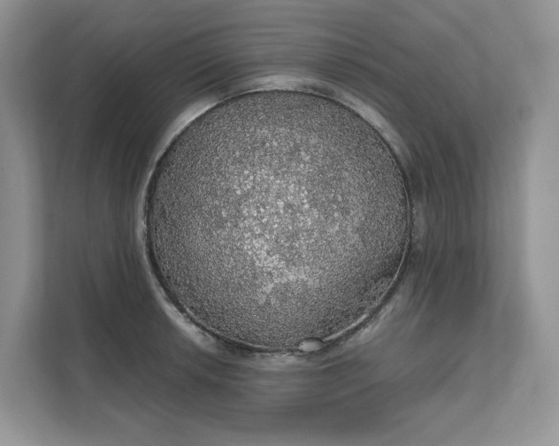 X0000111581042200907301400