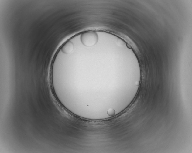 X0000111581044200907301400