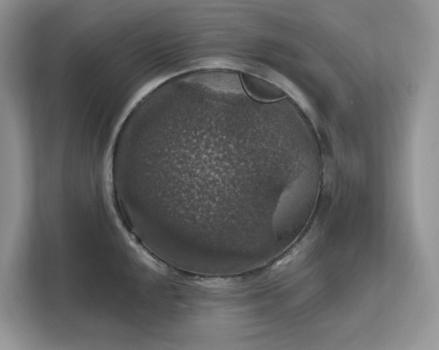 X0000111581048200907301400