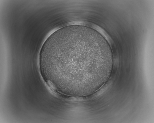 X0000111581050200907301400