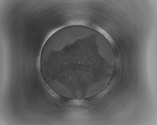 X0000111581052200907301401