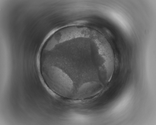 X0000111581054200907301401