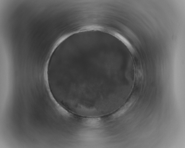 X0000111581055200907301401