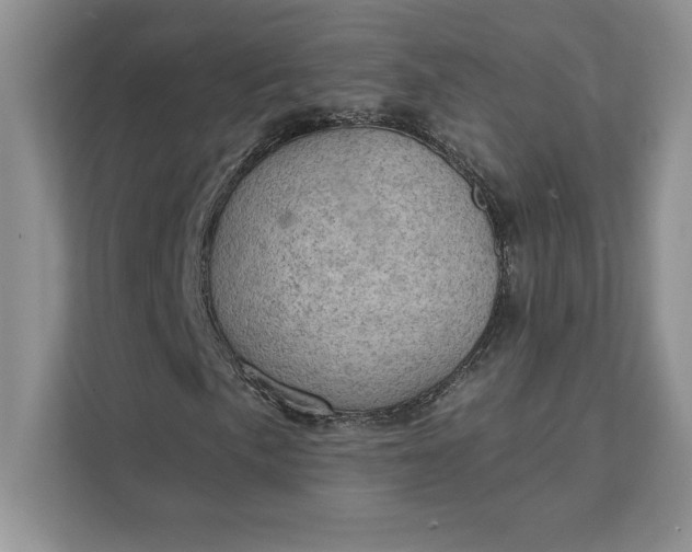 X0000111581057200907301400