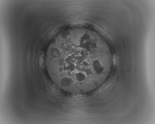 X0000111581059200907301400