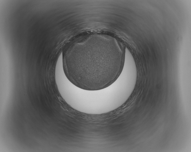 X0000111581060200907301400