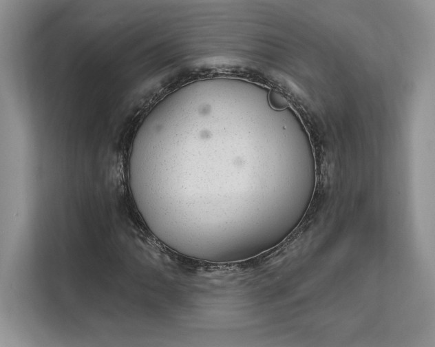 X0000111581062200907301400