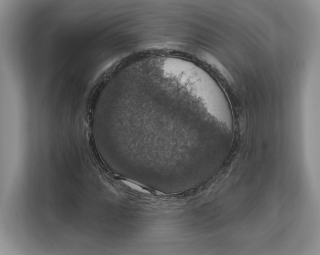 X0000111581064200907301400