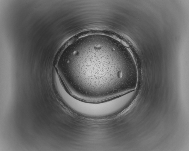 X0000111581065200907301400