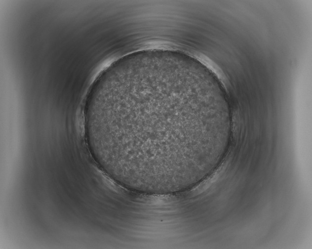 X0000111581067200907301400