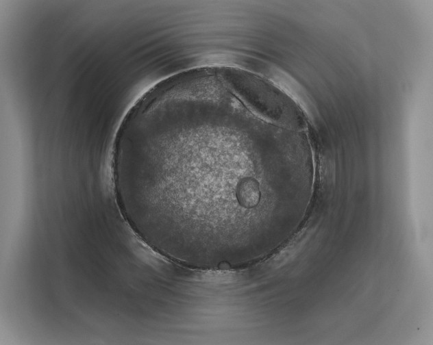 X0000111581068200907301400