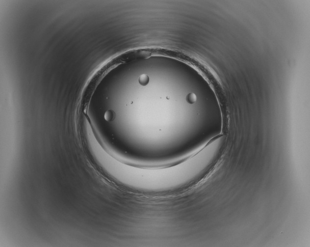 X0000111581069200907301359