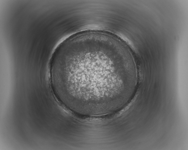 X0000111581070200907301359