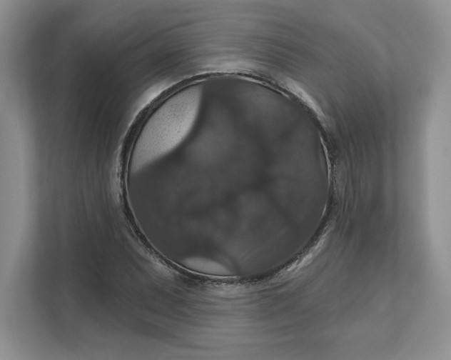 X0000111581071200907301359