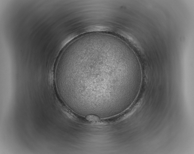 X0000111581073200907301359