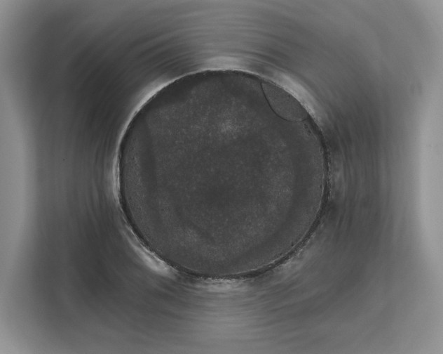 X0000111581076200907301359