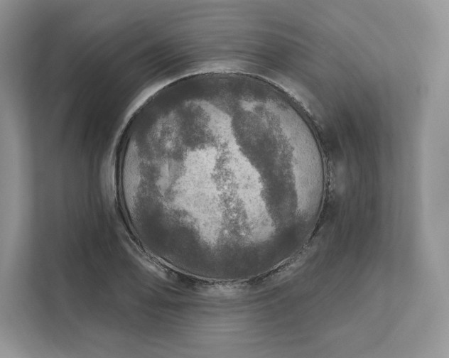 X0000111581078200907301359