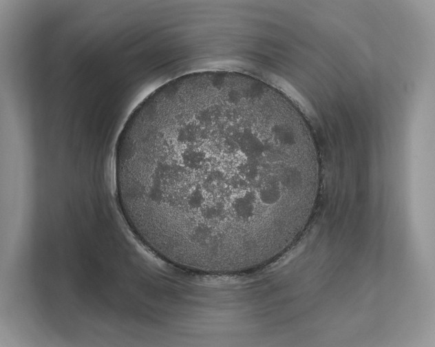 X0000111581079200907301359