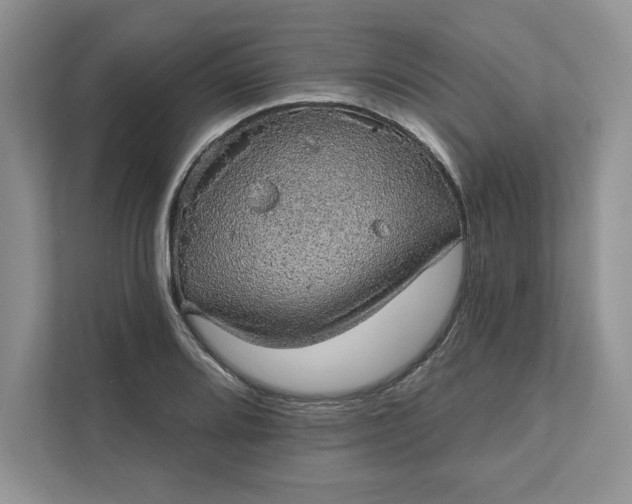 X0000111581080200907301359