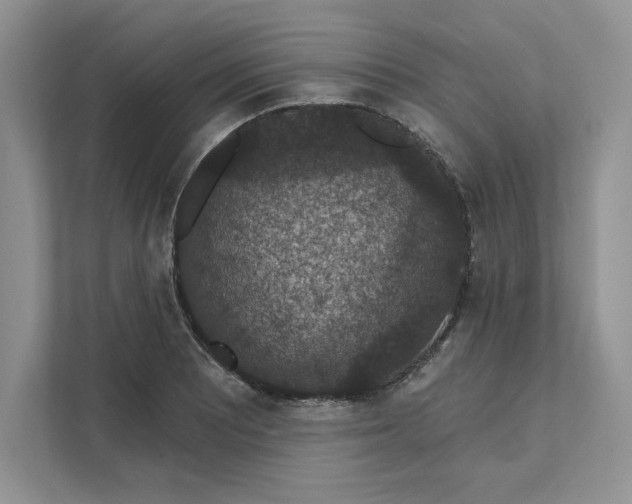 X0000111581081200907301359