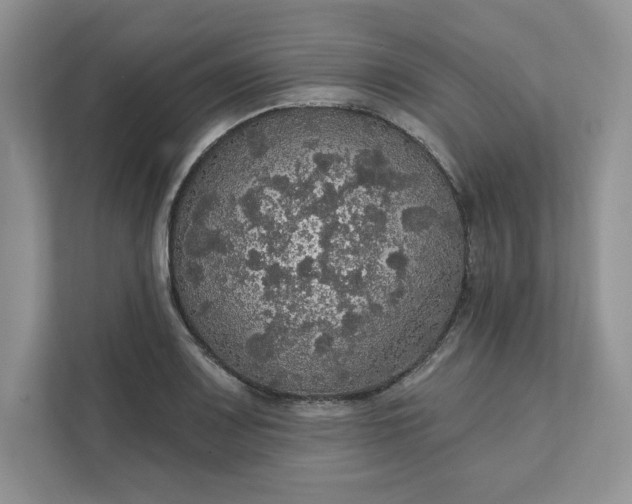 X0000111581083200907301359