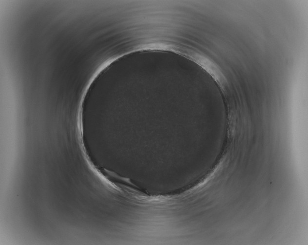 X0000111581084200907301359