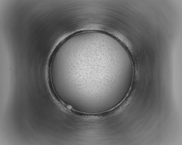 X0000111581085200907301359