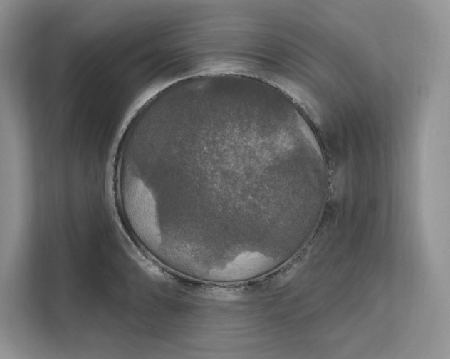 X0000111581086200907301359