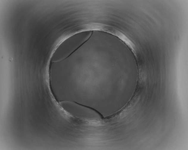 X0000111581088200907301359