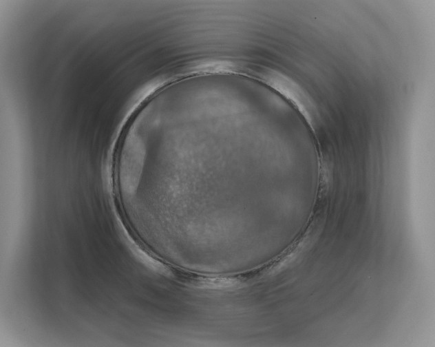 X0000111581090200907301359