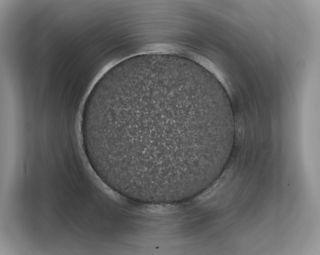 X0000111581091200907301359