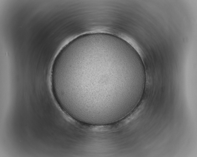 X0000111581093200907301359