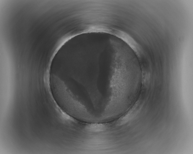 X0000111581094200907301359