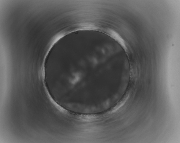 X0000111581095200907301359